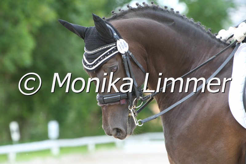 097M8016_Roydosso B.JPG